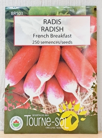 SEEDS - Radish French Breakfast (Tourne-sol)